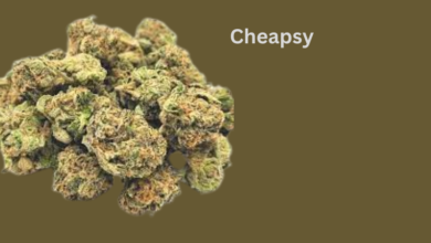Cheapsy